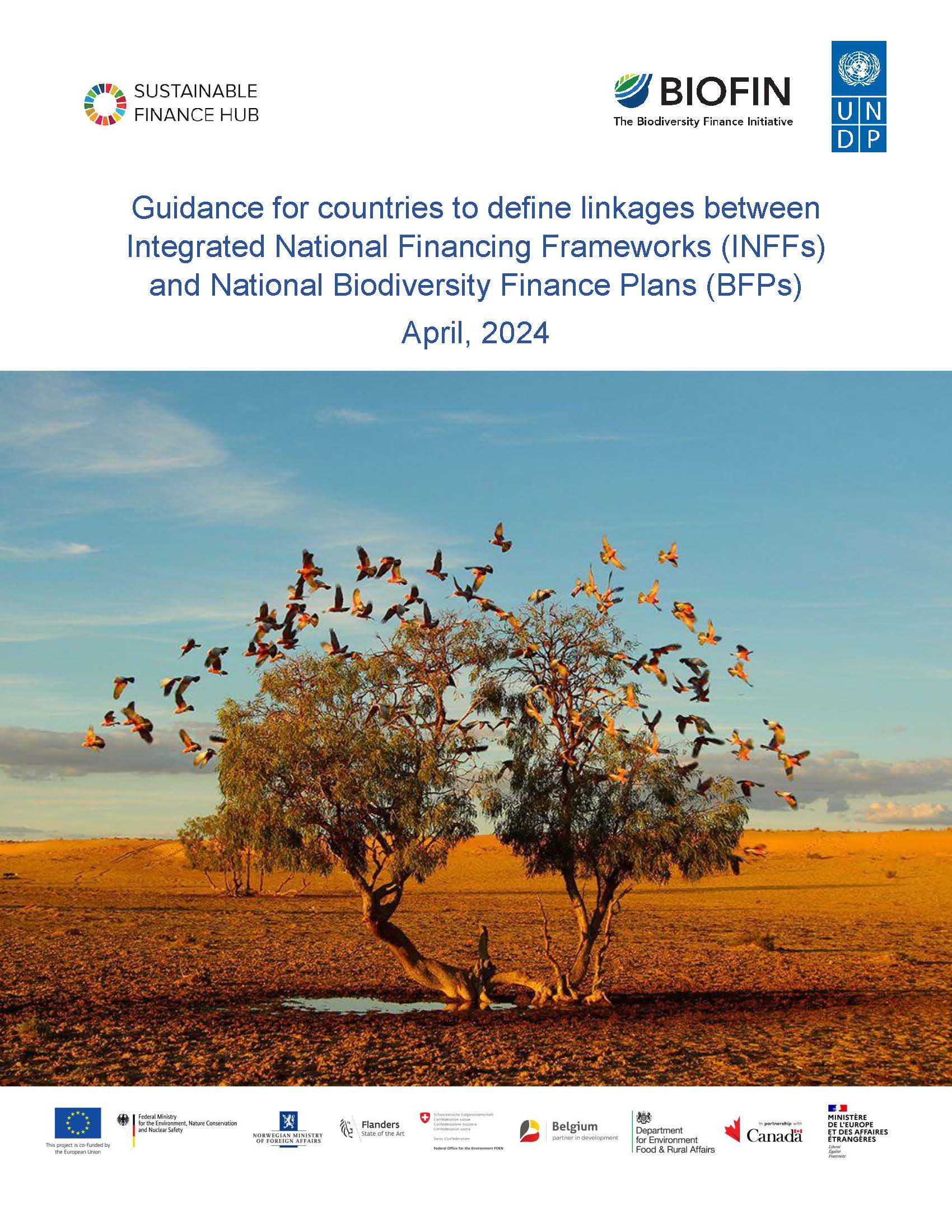 Guidance For Countries To Define Linkages Between Integrated National ...